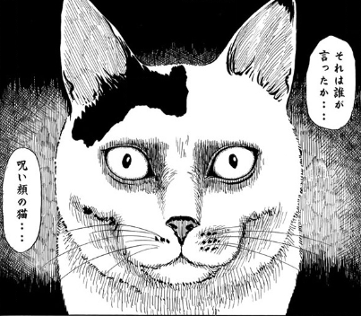 伊藤潤二の猫日記 よん むー1巻は無料の漫画村やzip Rarどこにも配信されてない ばっさーブログ